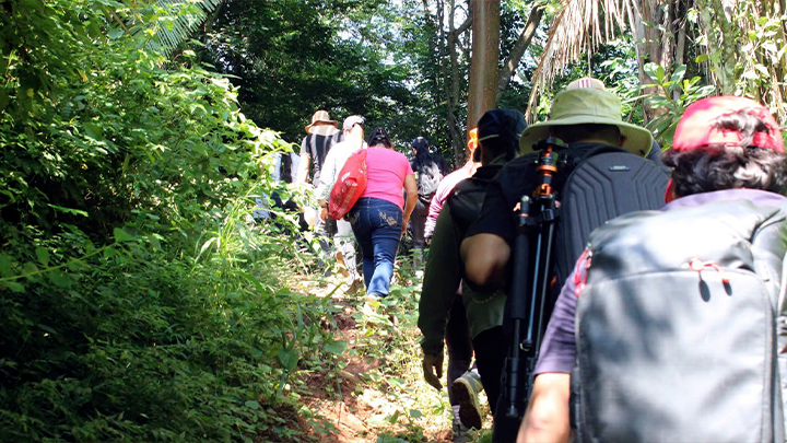 Turismo en Acatlán de las Piñas