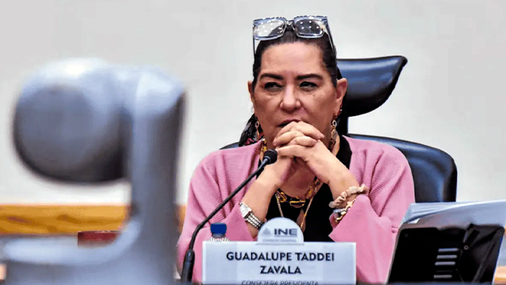 Renuncia de Guadalupe Taddei
